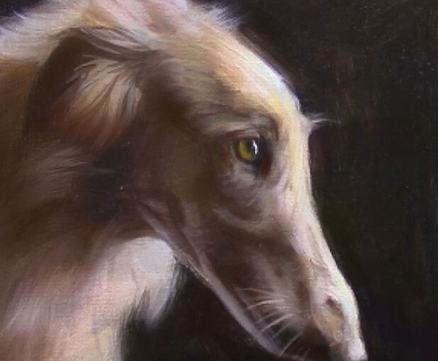 Pet portrait paintings